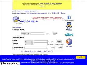 sealifebase.org