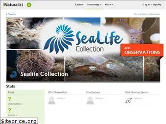 sealifecollection.org