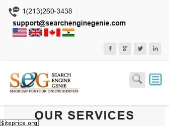 searchenginegenie.com