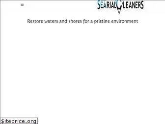 searial-cleaners.com