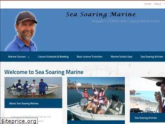 seasoaringmarine.com