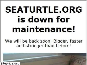 seaturtle.org