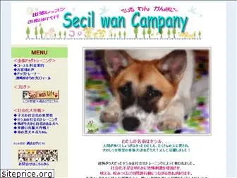 secil-wan.com