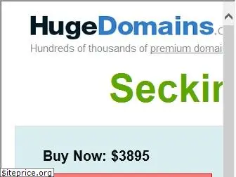 seckinajans.com