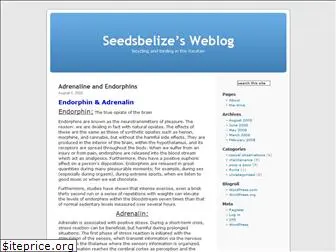 seedsbelize.wordpress.com
