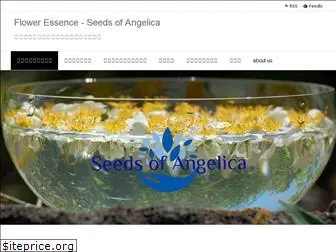 seedsofangelica.net