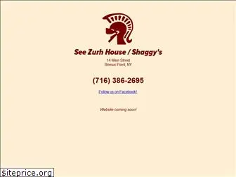 seezurhhouse.com