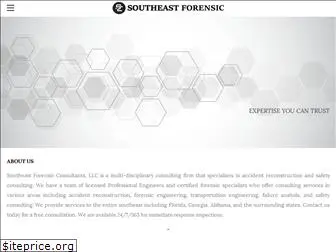 seforensic.com