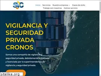 seguridadsvc.com