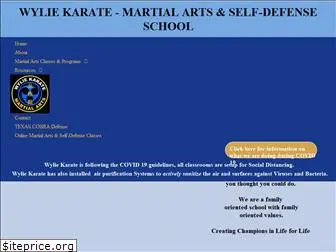 seidokankarate.com