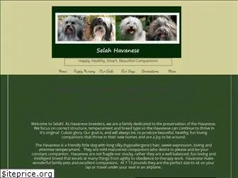 selahhavanese.com