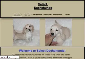 selectdachshunds.com