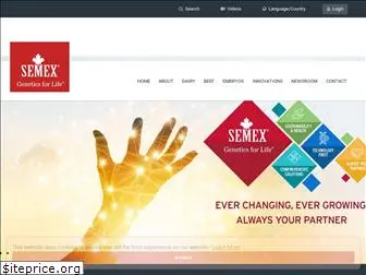 semex.com