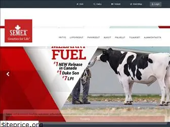 semex.fi