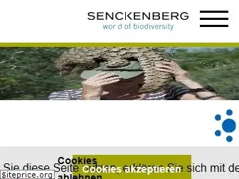 senckenberg.de