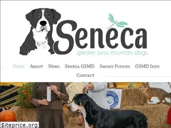 senecaswissys.com