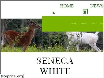 senecawhitedeer.org