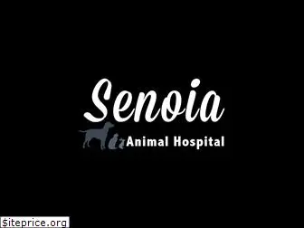 senoiavet.com