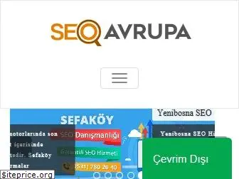 seoavrupa.com