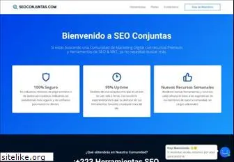 seoconjuntas.com