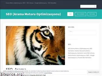 seogoogleoptimizasyonublog.wordpress.com