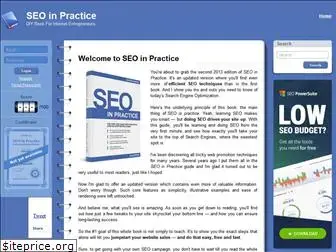 seoinpractice.com