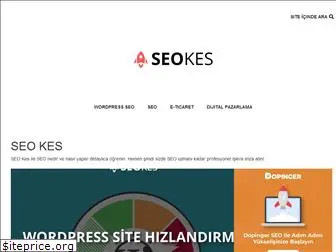 seokes.com