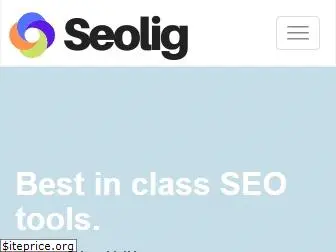 seolig.com