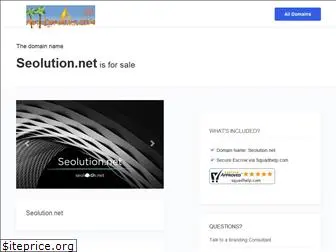 seolution.net