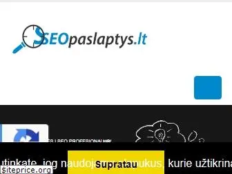 seopaslaptys.lt