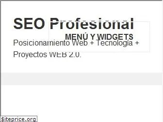 seoprofesional.com