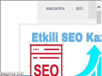 seoseocu.com