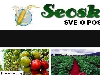 seoskiposlovi.com