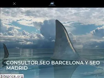 seowebconsultora.es