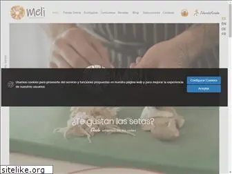 setasmeli.com