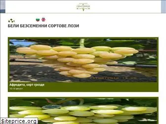 sevastianov-vines.com