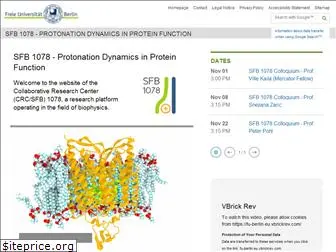 sfb1078.de