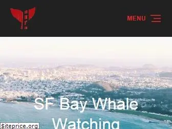 sfbaywhalewatching.com
