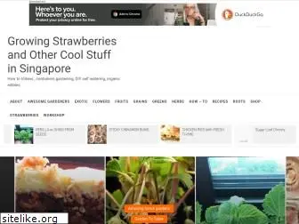 sgstrawberries.com