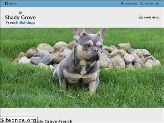 shadygrovefrenchbulldogs.com