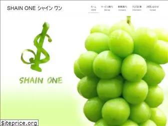 shainone.com