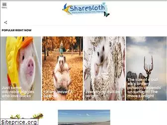 sharesloth.com