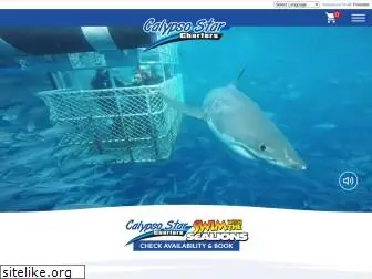 sharkcagediving.com.au