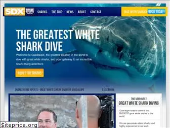 sharkdivingxperts.com