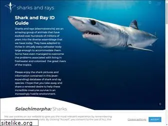 sharksandrays.com