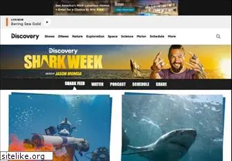 sharkweek.com