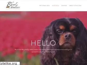 sharon-macy.squarespace.com