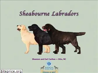 sheabournelabs.com