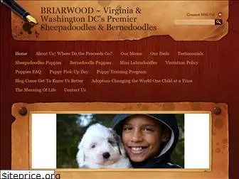 sheepadoodlepuppiesforsale.com