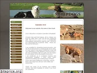 sheepdogs.com.au